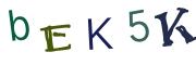 Obrázková CAPTCHA