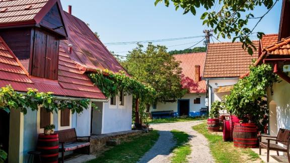 Slovenské novošlachtence