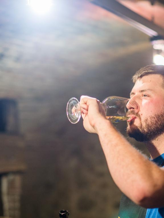 Národný salón vín foto
