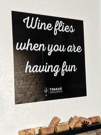 Quick wine tasting - rodinné slovenské vinárstva  sa ochutnávajú