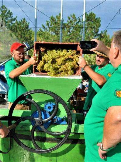 Račianske vinobranie