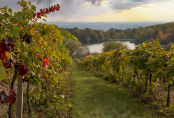 Vychutnajte si Malé Karpaty