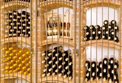 Putovanie za vínom Vinosady 2023 - MS wine
