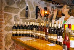 Putovanie za vínom Vinosady 2023 - MS wine
