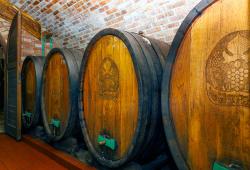 Putovanie za vínom Vinosady 2023 - u vinároch